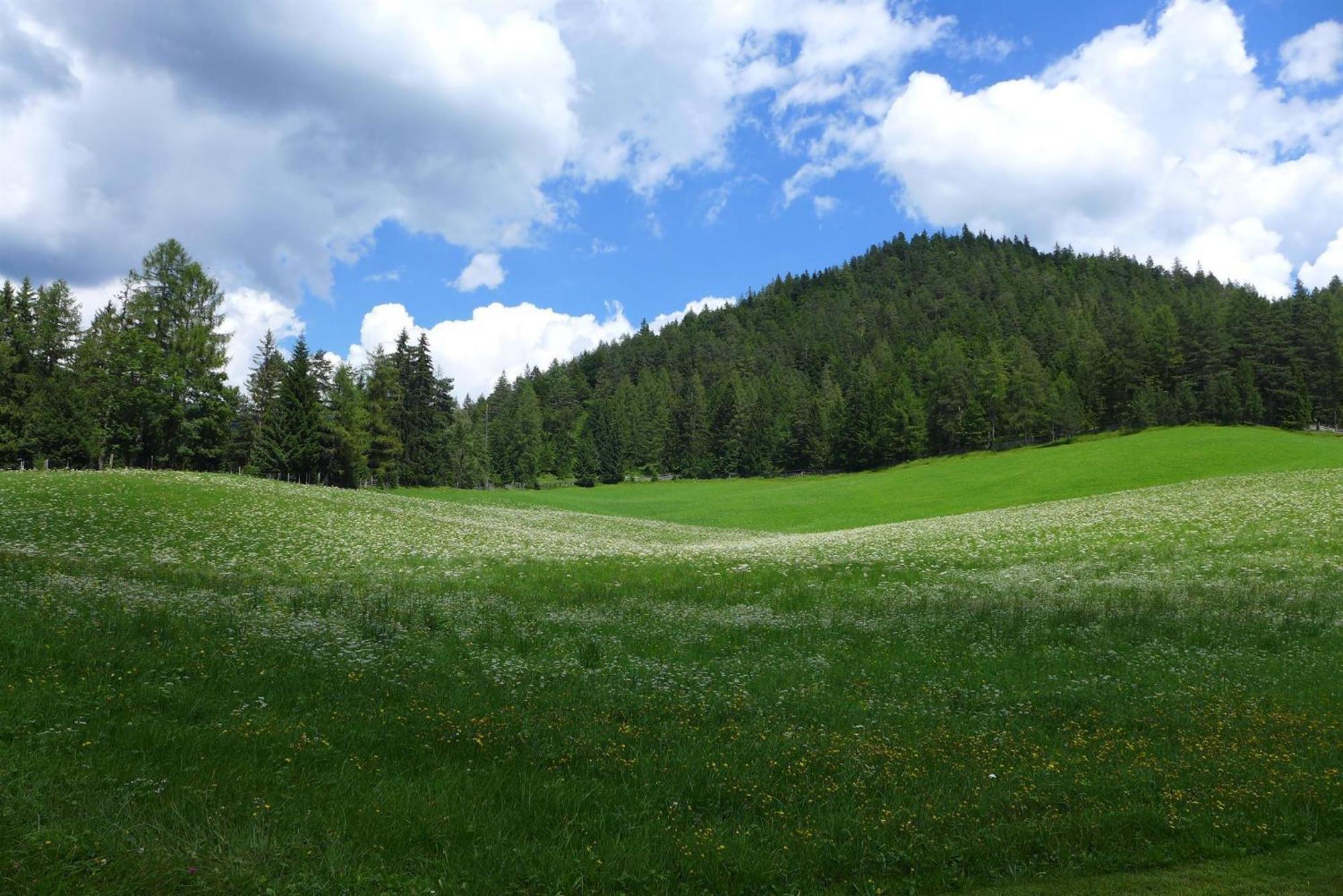 Bauernhaus Durrahof Steinberg am Rofan Esterno foto